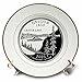 3dRose cp_55300_1 State Quarter of Oregon PD-US Porcelain Plate, 8-Inch