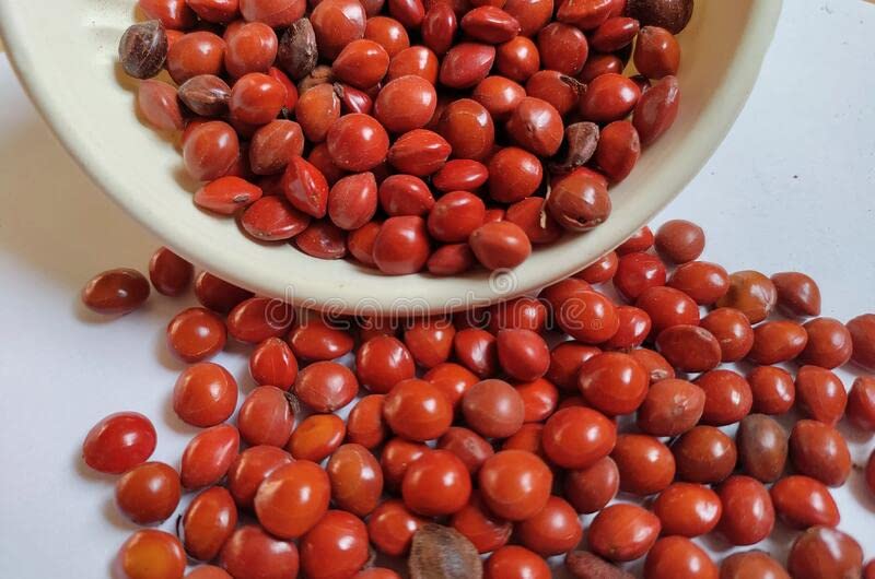 Red chandan seeds for plantation (18 seeds) (B0C3ZRYDG7) Amazon Price History, Amazon Price Tracker