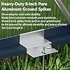 Garvee 6x8ft Greenhouse, Large Walk-in Greenhouse for Outdoors with Roof Vent & Lockable Smooth-Gliding Sliding Door, Heavy Duty Aluminum Frame Polycarbonate Green House for Garden,Backyard,Lawn,Grey #3