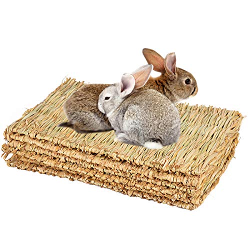 Mqforu Tapis d'herbe naturel tissé à la main pour petit animal de compagnie Jouet à mâcher Lit pour hamster, cochon, lapin et perroquet