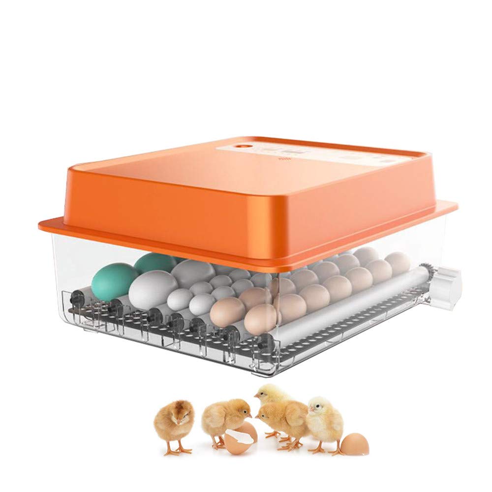 Mini incubatrice per Uova, schiusa Automatica Digitale con Controllo della Temperatura, Display a LED per Macchina per schiusa di pollame Completamente Automatica Digitale da 30-36 Uova