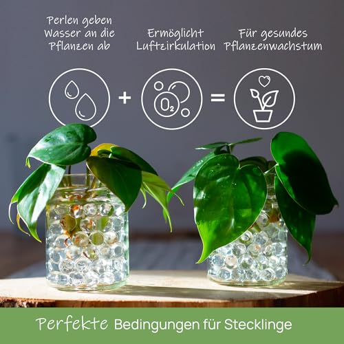 Comforder – Wasserperlen durchsichtig – Deko Wasserperlen für Pflanzen in Vase, ca. 10.000 Hydroperlen, Gelkugeln transparent