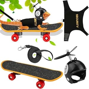3pcs Lizard Accessories Toy Set with Bearded Dragon Leash, Adjustable Reptile Harness, Mini Skateboard and Bamboo Dragonfly Helmet, Suitable for Smaller Reptiles