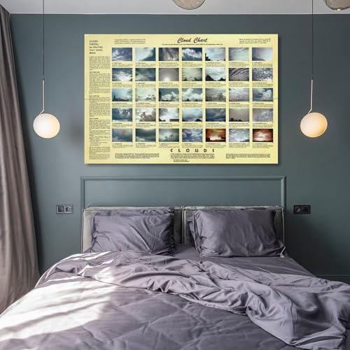 Poster Cloud Types guide identification nuages affiche météorologique éducative 16x24inch - 6