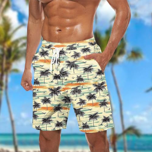 Men Summer Beach Swim Trunks Gradient Color Quick Dry Swimwear Bathing Suits with Zipper Pockets Mesh Lining2