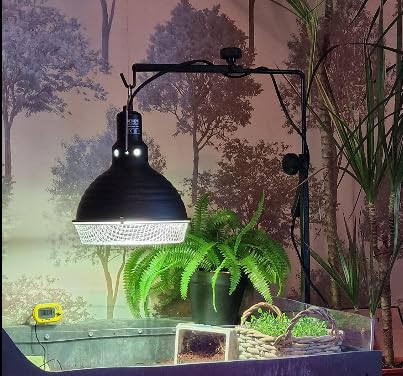 Support de lampe pour reptiles en métal réglable 40-64 cm - 7