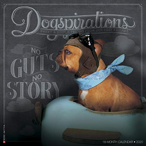 Télécharger Dogspirations 2020 Calendar: Sweet & Simple Truths from Our Best Friends Francais PDF