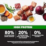 IAMS Proactive Health High Protein Dry Dog Food with Chicken & Beef, 30 lb. Bag - Image 2