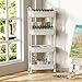 JOYZAN 4 Tier Rolling Carts with Wheels, Utility Cart with Handle and Locking Caster, Storage Cart for Kitchen, Office, Bedroom, Suitable for Diaper, Art Tools, Snack, Craft Storage Cabinet, White