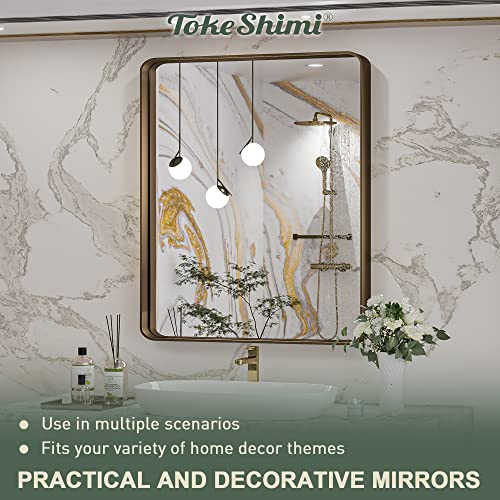 Tokeshimi 30 X 36 Inch Bronze Bathroom Wall Mirror Brown Farmhouse Mirror With Non-Rusting Aluminum Alloy Brushed Metal Frame For Modern Farmhouse Bedroom Living Room Decor (Horizontal/Vertical) #TOP4