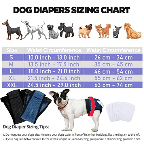 LeerKing 2er Pack Mesh Läufigkeitshose für Hündinnen waschbar Läufigkeitshöschen mit 6 Einlagen weibliche Hunde Läufigkeitshosen Hundewindeln Schwarz 2XL