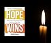 Hope Wins: How a Vision of Our Eternal Future Impacts Our Lives Today
