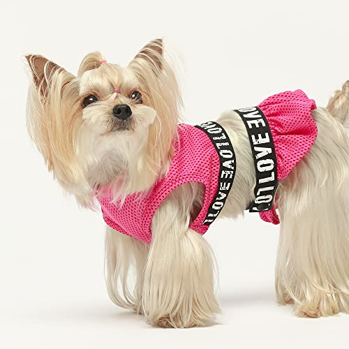 Fitwarm 2 Piece Dog Dress, Athleisure Lightweight Dog Clothes For Small Dogs Girl, Cat Apparel, Rose Pink, Small #TOP6