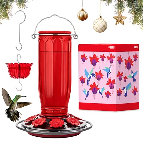 iBorn Glass Hummingbird Feeder for Outdoors Hanging Ant and Bee Proof Ant Moat for Hummingbird Feeder 8 Ports for 16oz Hummingbird Nectar, Brushed Black Nickle Cover Red Glass, Pack of 1, 2024 New