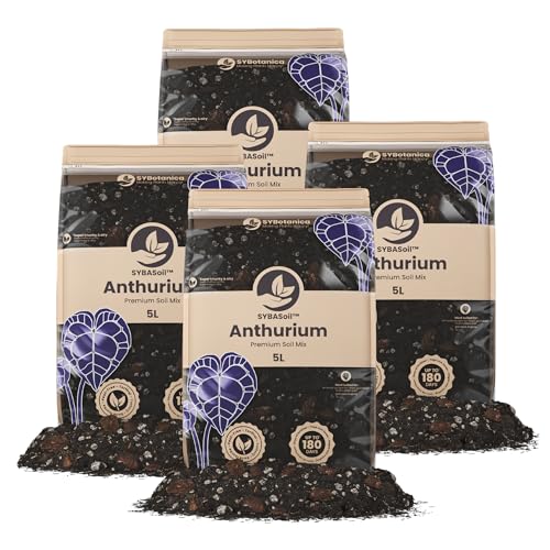 Sybotanica - Anthurien-Erde 20 L – Premium Coco Blumenerde für Anthurien, Bromelia & mehr, Torffrei & 180 Tage Bio-Dünger – Für Zimmerpflanzen-Liebhaber