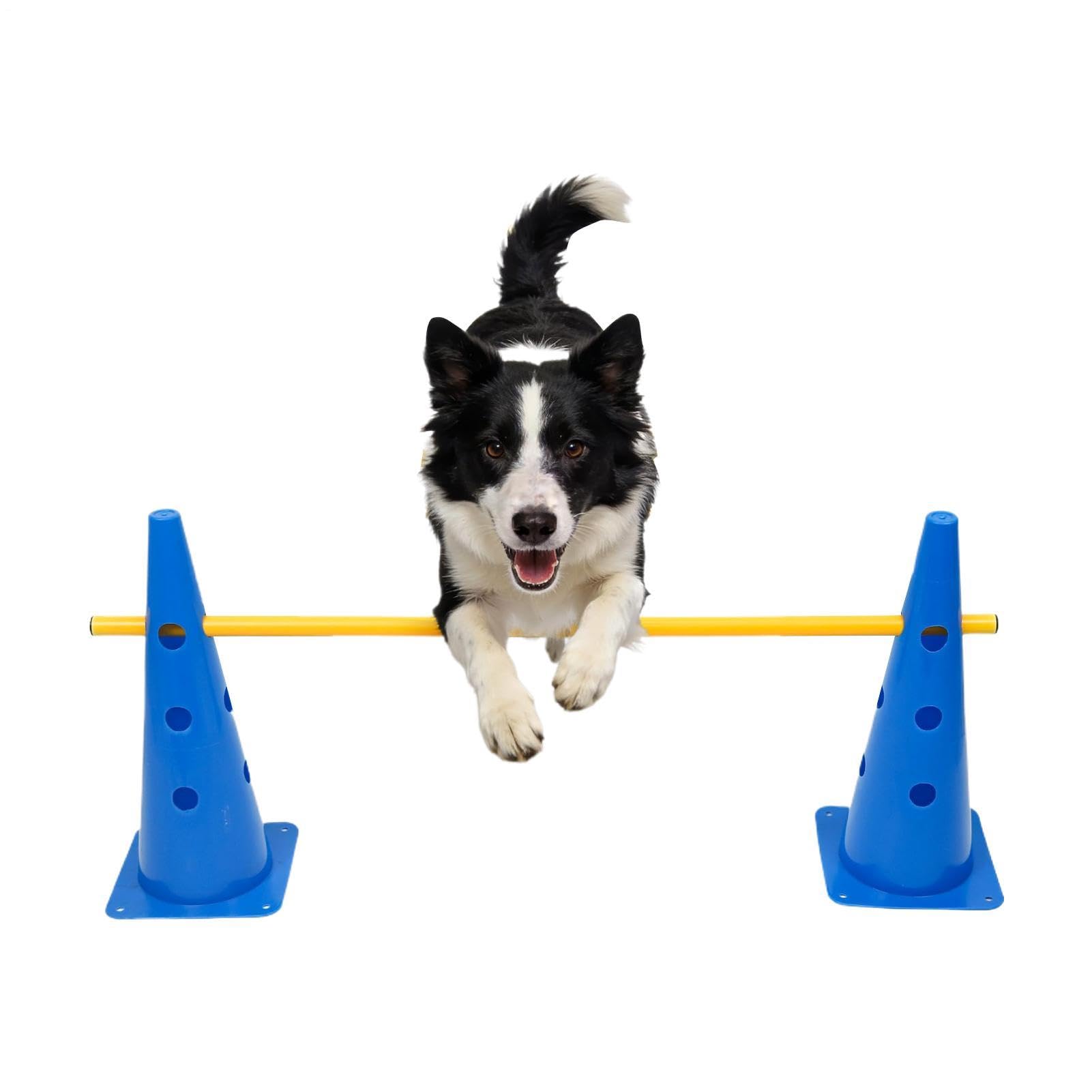 Générique Agility-Ausrüstung Für Hunde | Höhenverstellbar Robust | Hindernisparcours-Hütchen Für Hunde | Für Kleine, Mittlere Große Welpen | Für Drinnen Draußen | Für Garten Park