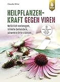 ulmer verlag gartenpraxis  Heilpflanzenkraft gegen Viren: Natürlich vorbeugen, Infekte behandeln, Abwehrkräfte stärken. Mit rund 100 Rezepten aus der Naturheilkunde: Natürlich ... Mit vielen Rezepten aus der Naturheilkunde