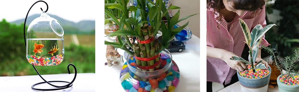 Image of Maalavya Multi-Color Pebbles for Decoration - Mixed Pebbles for Plants Pots, Fish Tank Aquarium, Table, Vase Fillers (1)