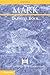 Mark (New Cambridge Bible Commentary)