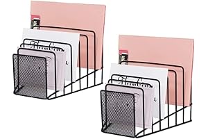 2 Pack Multi-Step Inclined File Organizer