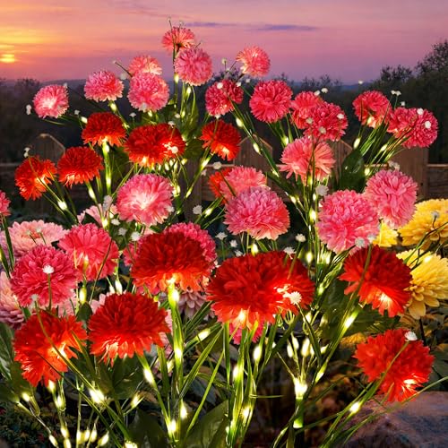 GIGALUMI 6 Pack Solar 42 Chrysanthemum Flowers Outdoor, 2 Modes Multi-Color
