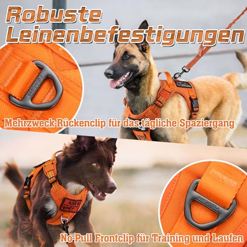 rabbitgoo Hundegeschirr mittelgroße Hunde, Anti Zug Geschirr Hund Verstellbar mit Griffe Verbreitert, Robust und Verschleißfest, Taktisches Hundegeschirr mit Metallschnallen zum Wandern(M, Orange)