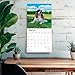 English Springer Spaniels | 2026 12 x 24 Inch (Hanging) Monthly Square Wall Calendar | Plastic-Free | BrownTrout | Animals Dog Breeds