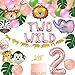 Two Wild Birthday Party Decorations, Jungle Themed Secend Girl Birthday Party Supplies Set Cute Animals Head Balloons and Two Wild Banner Caketoppers for Girls 2nd Jungle Birthday Decor