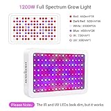 eecoo B07MM4QM9T lato 2