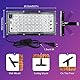 LED Schwarzlicht Strahler 50W, Indmird 2 Stück Schwarzlichtlampe mit Stecker, IP66 Wasserdicht UV strahler mit Stecker, 395-400nm UV Flutlicht Partylicht für Bar,Disco,GLOW Party,Halloween, Aquarium