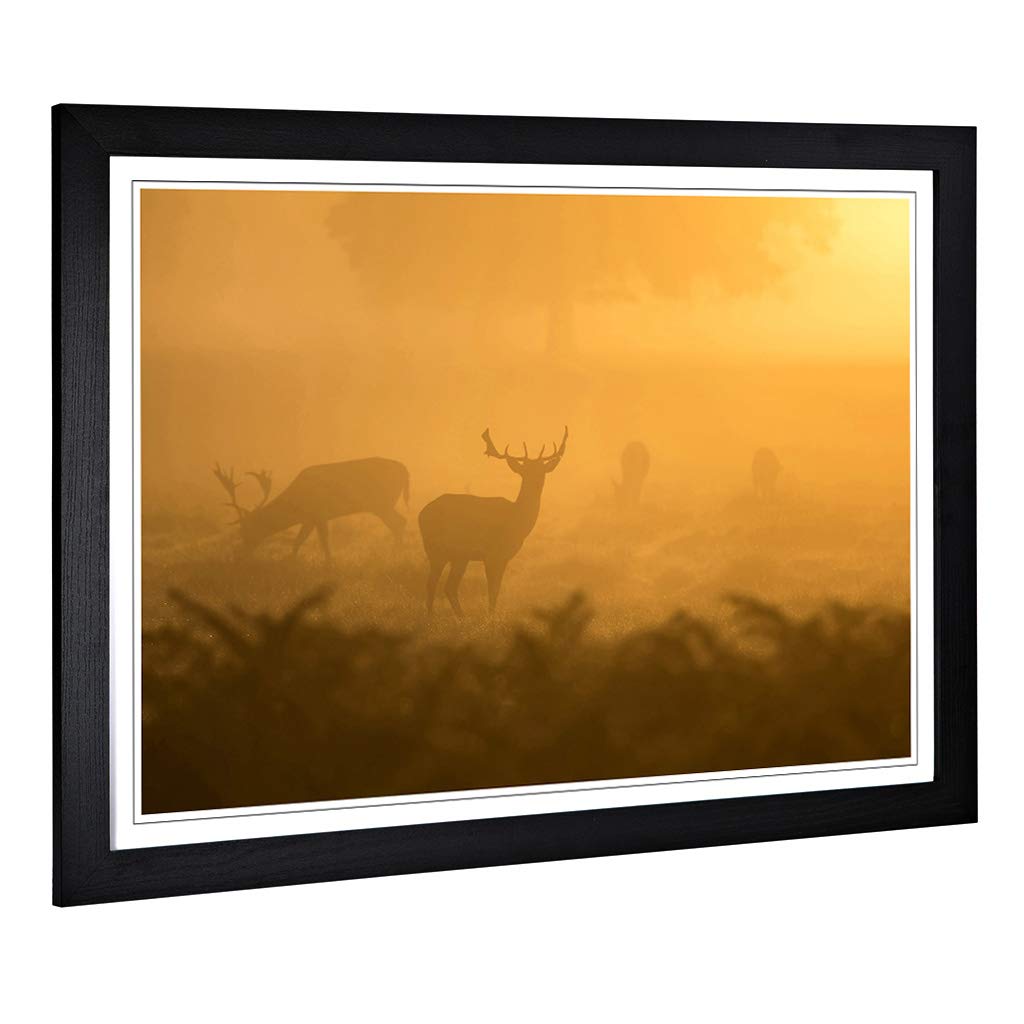 Big Box Art Framed Print of Stag Sunrise Landscape Design | Wall Art Picture | Home Decor for Kitchen, Living, Dining Room, Lounge, Bedroom, Hallway, Office, Black, A2 / 24.5x18 Inch / 62x45cm