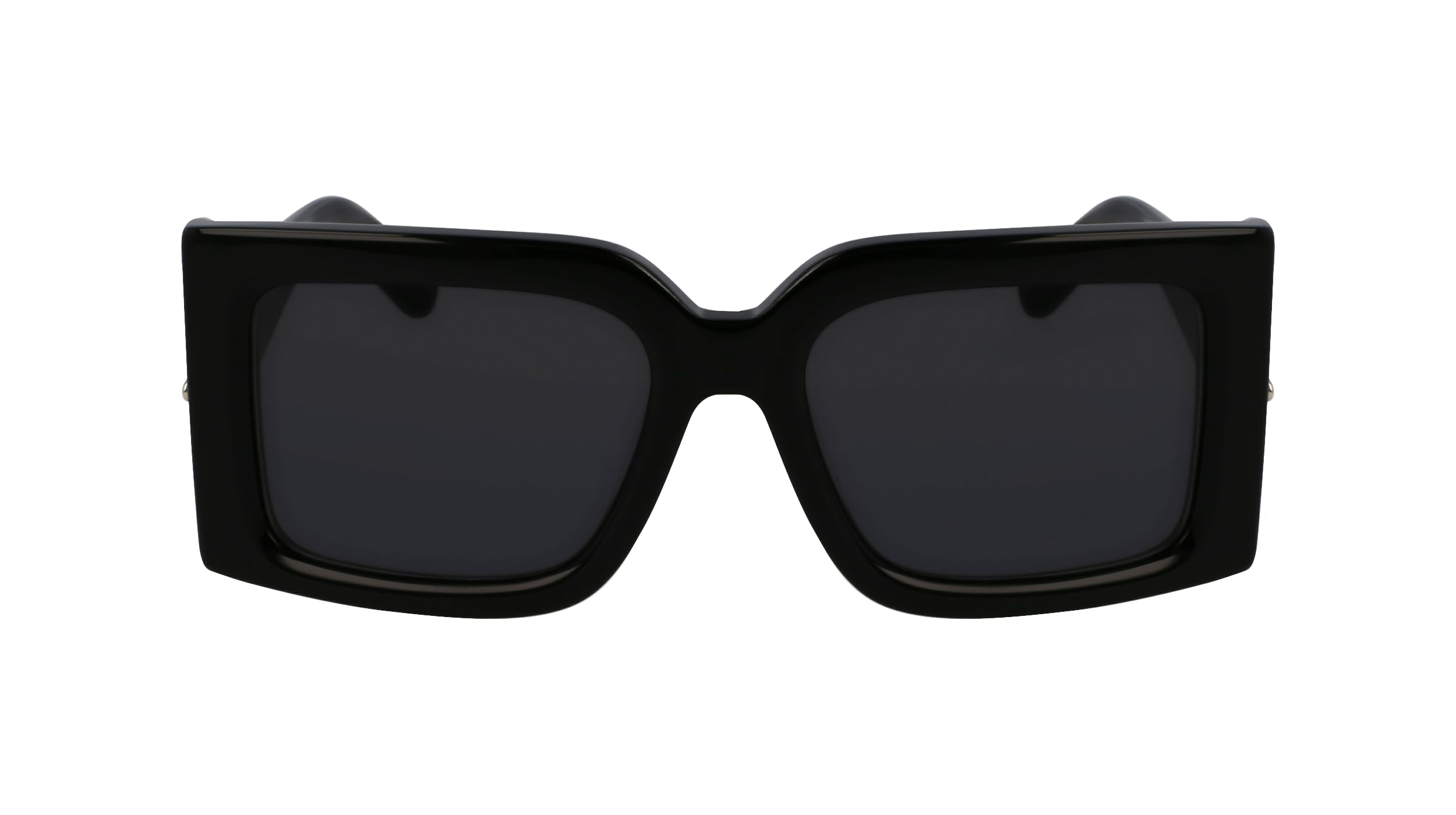 GAFAS FERRAGAMO - SF2032S C: BLACK/EYE SIZE: 55 BRIDGE: 19 HORIZONTAL MEASUREMENT: 55 VERTICAL MEASUREMENT: 42,8 Cura della persona e salute