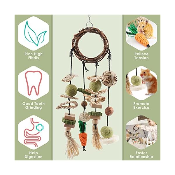 ERKOON Kaninchen Spielzeug, Rabbit Toy Kaninchenspielzeug Beschäftigung,Hasen zubehör Käfig Hängende Kauspielzeug, Hamster, Meerschweinchen – Bild 6