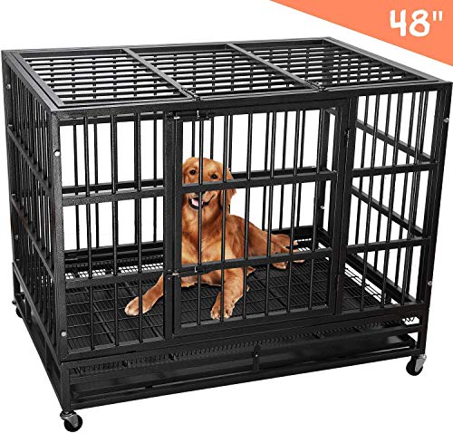 Best Escape Crate