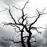 Day By Day [Explicit]