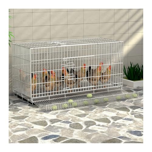 Quxxuol{pP[W { { jg gCt15°̊px̎A܂肽ݎfUCAtsvAofUCAȒPA{₻̑̏ɓKĂ܂ ([Vo[] `LP[W + 7_Zbg,100x60x