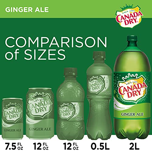 Canada Dry Ginger Ale, 67.6 Fl Oz Bottle #TOP5