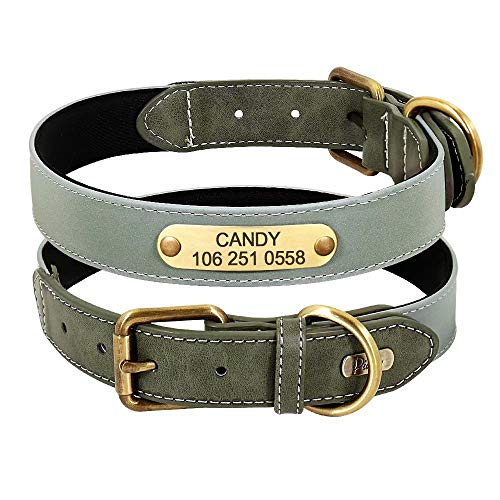 Didog Personalized Reflective Dog Collars with Engraved Bronze Nameplate - Soft Neoprene Padded Dog Collar with Heavy Duty D-Ring & Metal Buckle - Adjustable Collars for Small Medium Large Dogs,Green