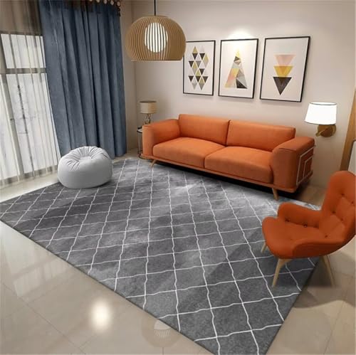 Tapis de salon gris résistant aux taches et lavable pour maison active