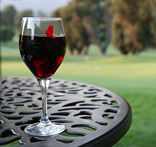 Simply Charmed Bird Wine Glass Charms - Magnetic Drink Markers To Identify All Your Glassware - Set Of 6 Cocktail Charms #TOP2