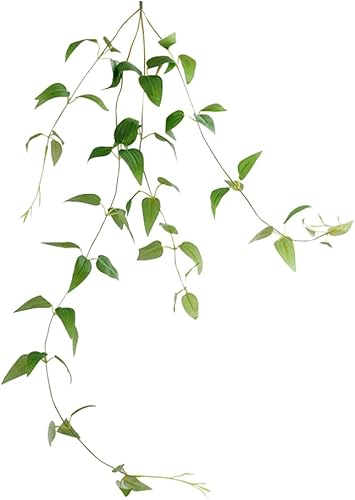 VOSAREA Decoración de otoño, guirnalda artificial resistente a las hojas verdes, plantas falsas colgantes para el hogar, cocina, boda, fiesta,