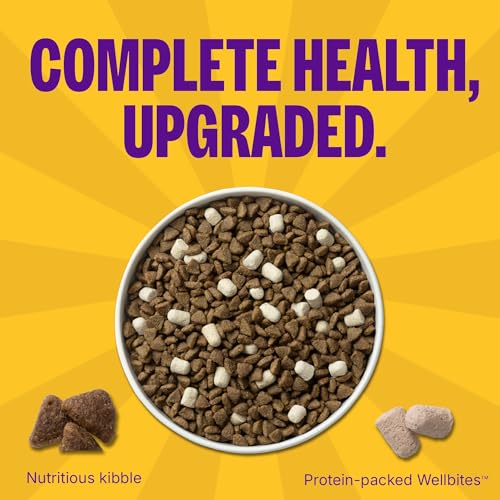 Wellness Complete Health+ Small Breed Adult Dry Dog Food with Freeze Dried Wellbites, Wholesome Grain Kibble+, Natural, Turkey and Oatmeal Recipe, 3.75 lb Bag - image 2