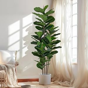 Fauxfiddleleaffigtree6ftartificialficustreewithtallartificialplants69fiddleleavesgreenerylifelikefaketreeforhomedecorlivingroomindooroutdoor Urban Country Home Decor Faux fiddle leaf fig tree 6 ft artificial ficus tree with tall artificial plants 69 fiddle leaves greenery lifelike fake tree for home decor living room indoor outdoor urban country home decor
