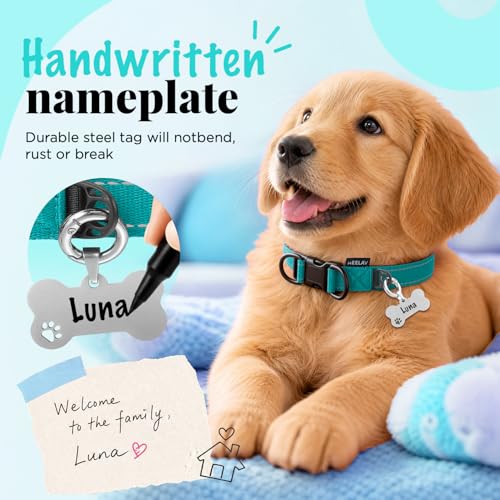 Collar Reflectante para Perro con Doble D y Etiqueta ID, Nylon Ajustable miniatura 3