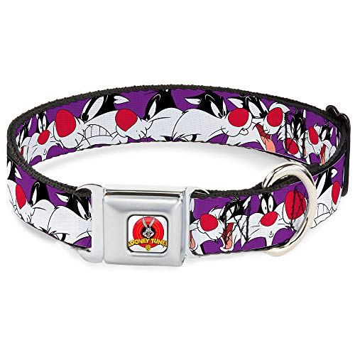 Looney Tunes Pet Collar, Dog Collar Metal Seatbelt Buckle, Sylvester The Cat Expressions Purple, 15 to 24 Inches 1.0 Inch Wide