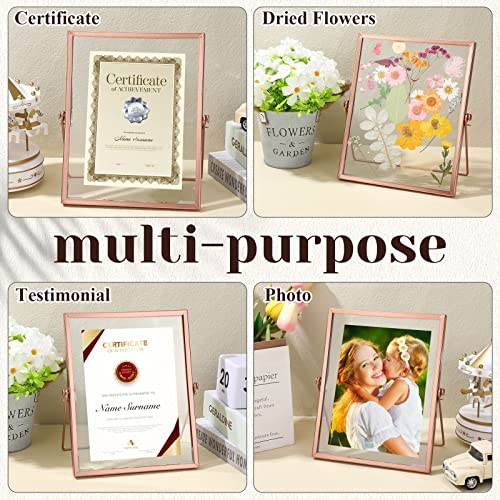 Hoteam 6 Pieces 5 X 7 Inch Gold Floating Frame Glass Picture Frame Bulk Metal Vintage Photo Frame Geometric Picture Frame Vertical For Tabletop Display Or Wall Mounting Decor (Rose Gold) #TOP3