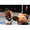 Ufc: Ultimate Knockouts 8