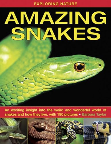 Exploring Nature: Amazing Snakes: An Exciting Insight Into the Weird and Wonderful World of Snakes and How They Live, with 190 Pictures