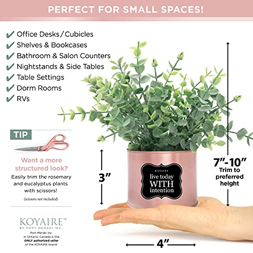 Koyaire Motivational Desk Plant Set Of 3 - Rose Gold Desk Accessories For Women Office - Rose Gold Decor And Home Office Accessories - Small Fake Plants - Desk Decorations For Women Office Decor #TOP2