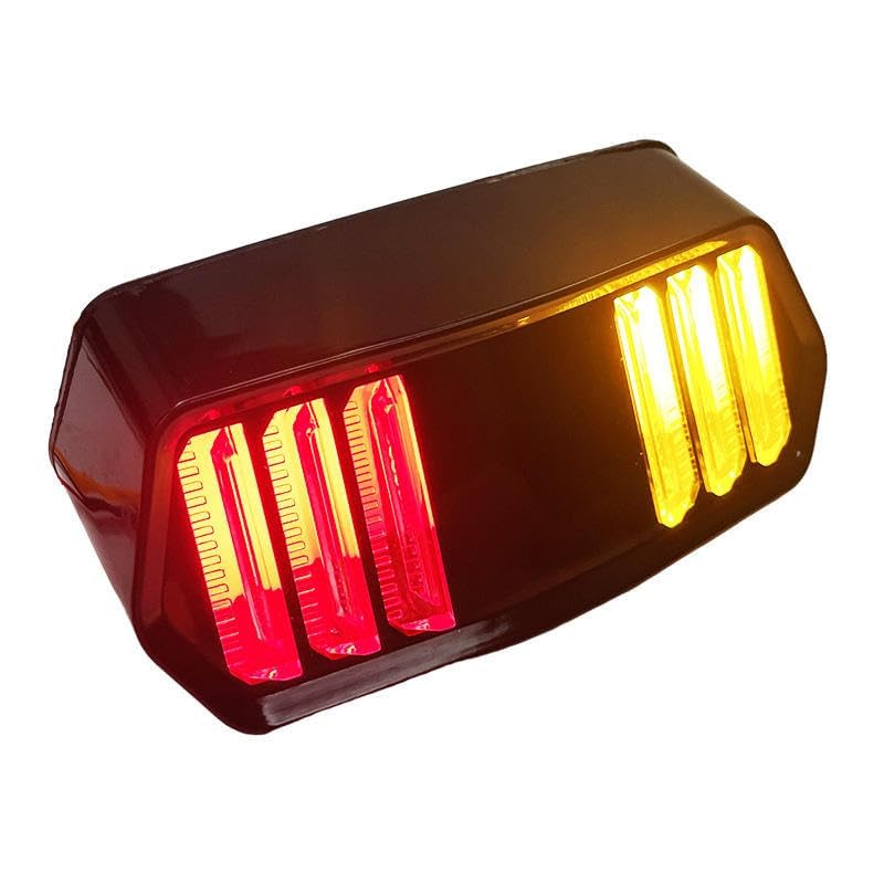 RudraRidez Bike 12V LED Tail Light Taillight Turn Signal Indicator Running Brake Stop Indicators Turn Lamp Continental GT-image-22
